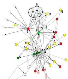 a network graph