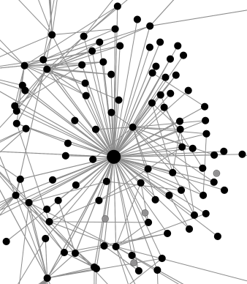 a network graph